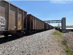 SCWX 09098
